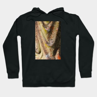 Fungus on rippled rock Hoodie